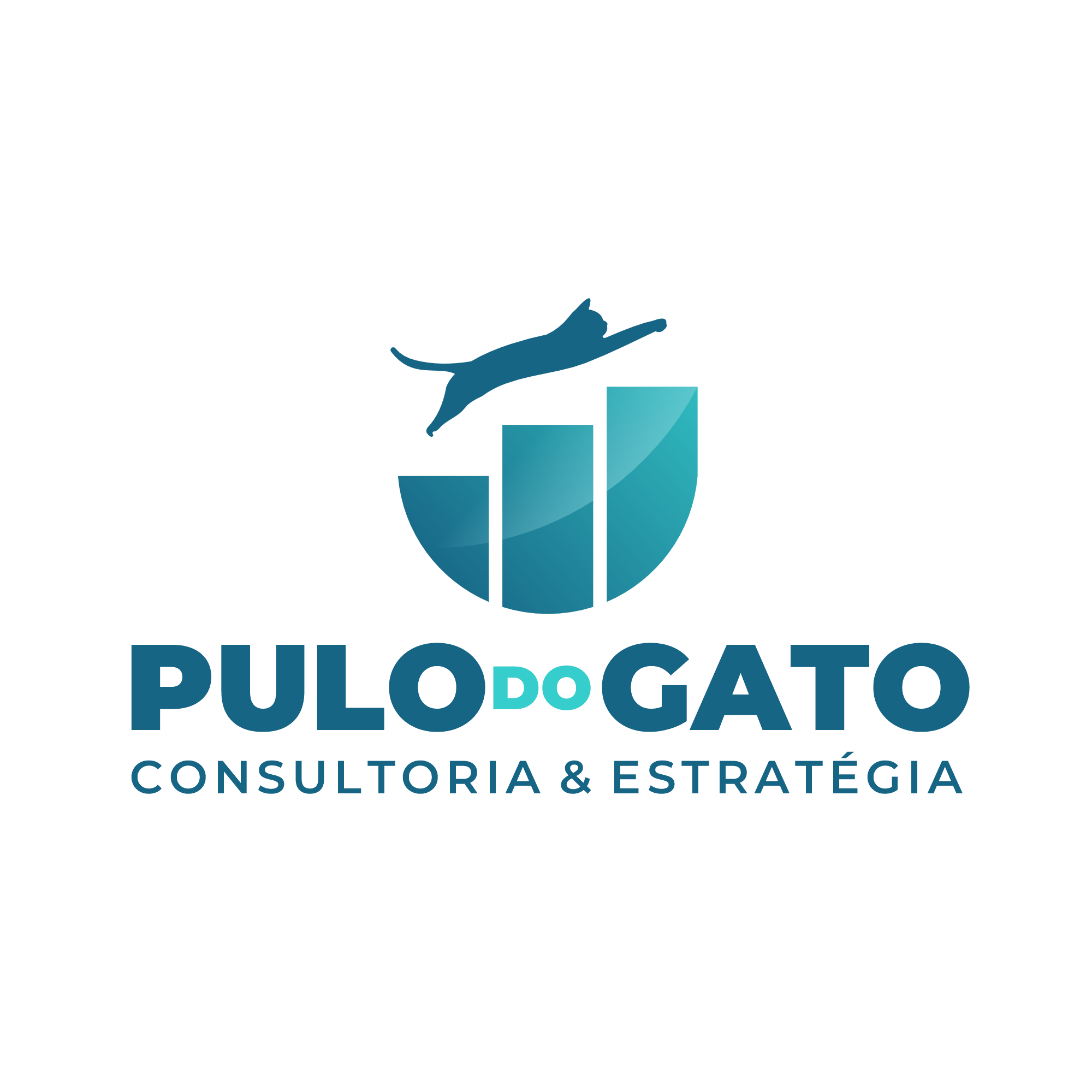Pulo do Gato Consultoria & Estratégia